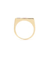 Horizontal Signet Ring|Diamond, Pink n Blue Sapphire